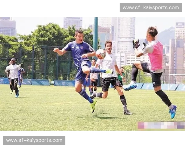 开云体育升班马观察：从赛场到成长的全景解读